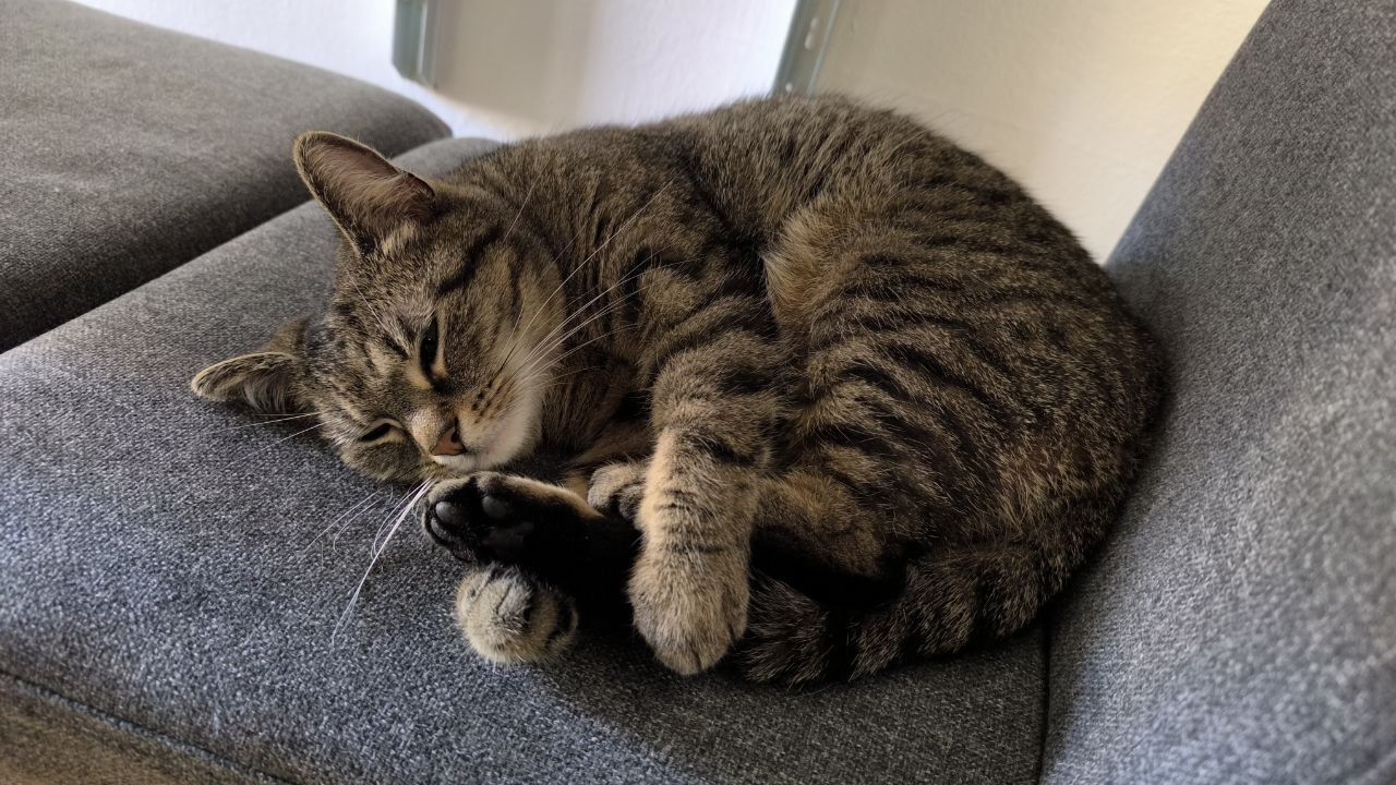 Kiki